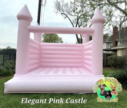 The Elegant Pink Castle
